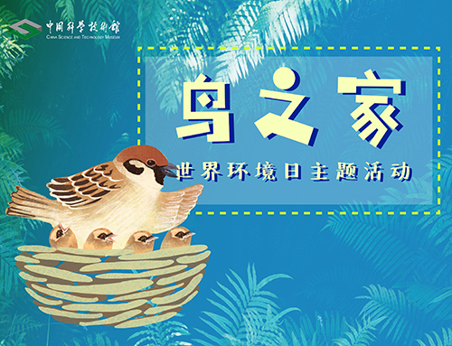 世界环境日,保护生物多样性,鸟类生活在哪里
