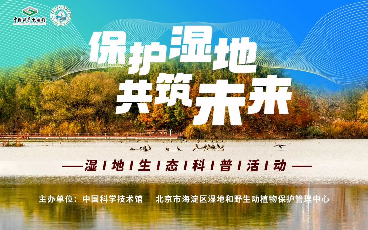 保护湿地,共筑未来 保护湿地,共筑未来