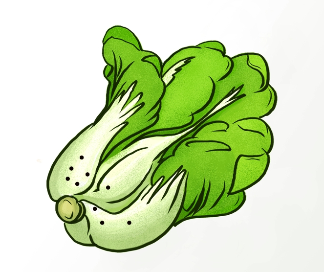 白菜帮黑点 白菜帮黑点