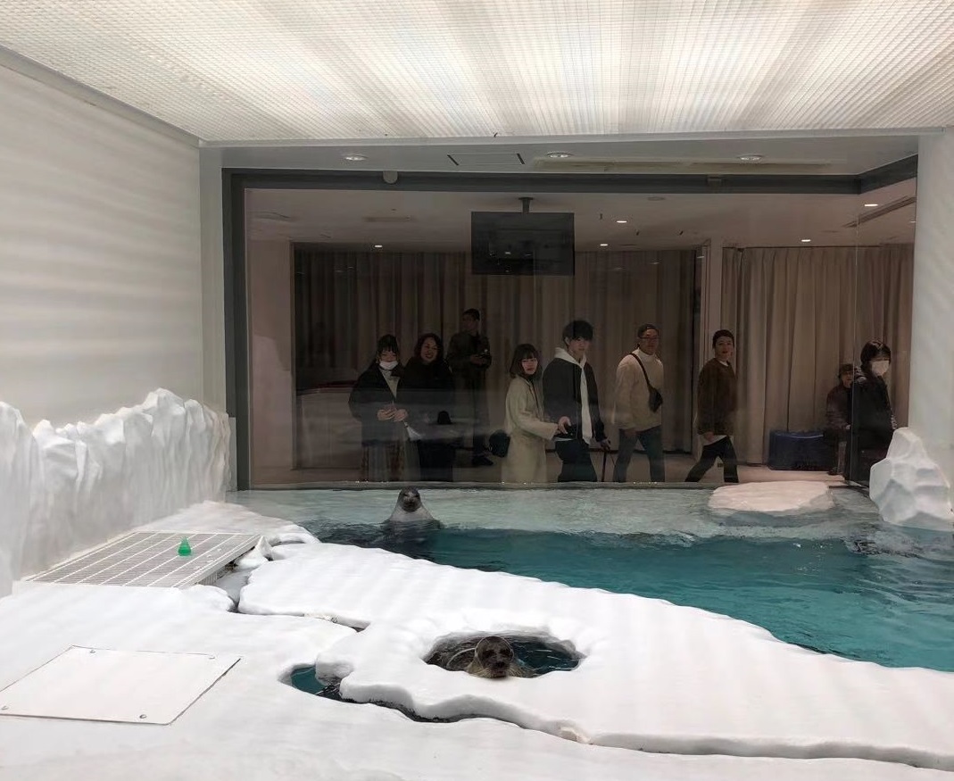 “北极圈”水箱中的海豹,海游馆 “北极圈”水箱中的海豹,海游馆