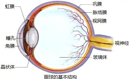 衰老到底是怎么回事呢,人老珠黄,人老珠黄是哪里黄 衰老到底是怎么回事呢,人老珠黄,人老珠黄是哪里黄