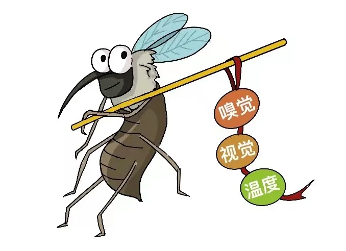 世界蚊子日,蚊子的定位系统,蚊子嗡嗡声究竟是怎么来的呢 世界蚊子日,蚊子的定位系统,蚊子嗡嗡声究竟是怎么来的呢