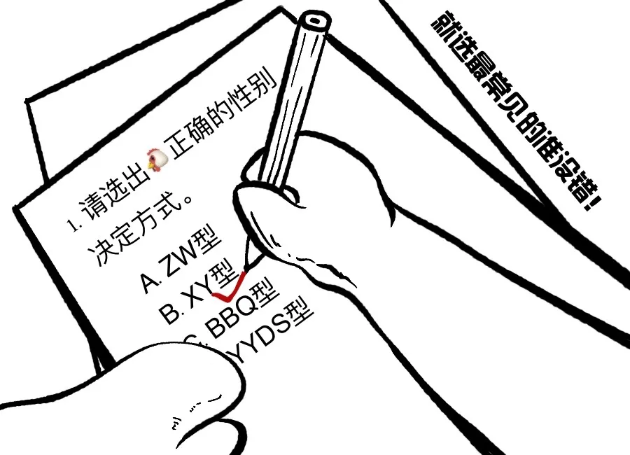 ZW型性别决定,ZO型性别决定 ZW型性别决定,ZO型性别决定
