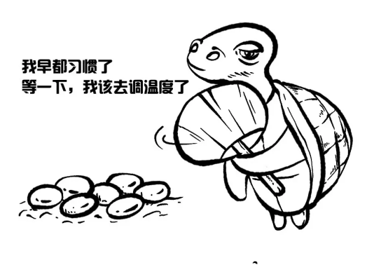 最常见的性别决定方式,决定生物性别的不只X和Y吗,什么因素决定性别 最常见的性别决定方式,决定生物性别的不只X和Y吗,什么因素决定性别