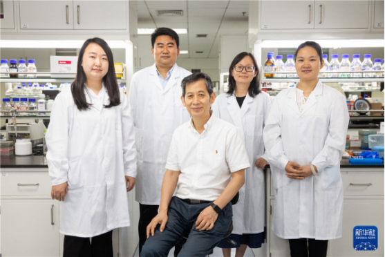 人工合成淀粉,什么是人工合成淀粉,人工合成淀粉的实验过程 人工合成淀粉,什么是人工合成淀粉,人工合成淀粉的实验过程