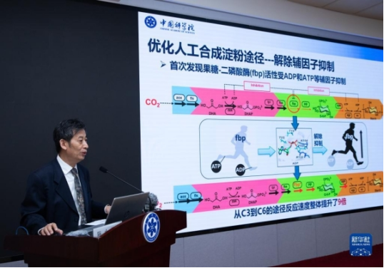 人工合成淀粉的应用,人工合成的淀粉和自然淀粉一样吗 人工合成淀粉的应用,人工合成的淀粉和自然淀粉一样吗