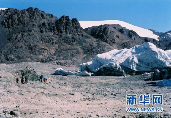 人工合成淀粉,什么是人工合成淀粉,人工合成淀粉的实验过程 人工合成淀粉,什么是人工合成淀粉,人工合成淀粉的实验过程