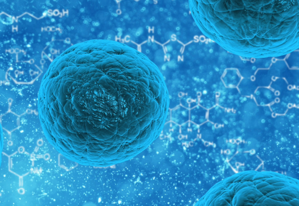 人造细胞,永生假说 人造细胞,永生假说